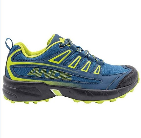 Кроссовки ANDE NEW TOUR WP M blue / green